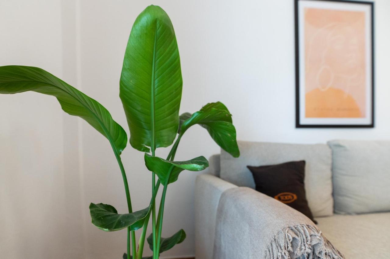 Flat 126 Διαμέρισμα Αλεξανδρούπολη Εξωτερικό φωτογραφία